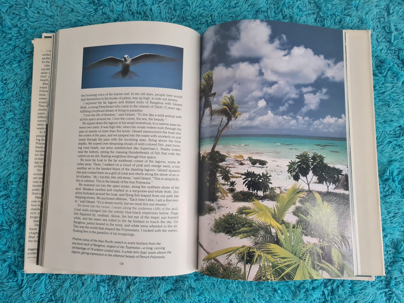 blue-horizons-national-geographic-3