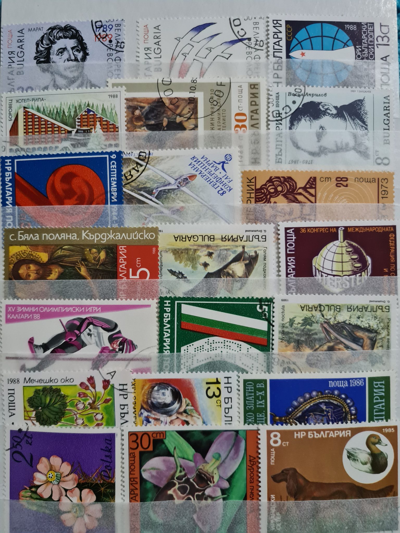 3-KARTELA-YABANCI-PUL-LOTU-6