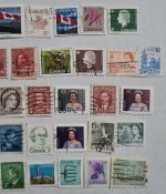 50-kanada-pulları-lotu-3