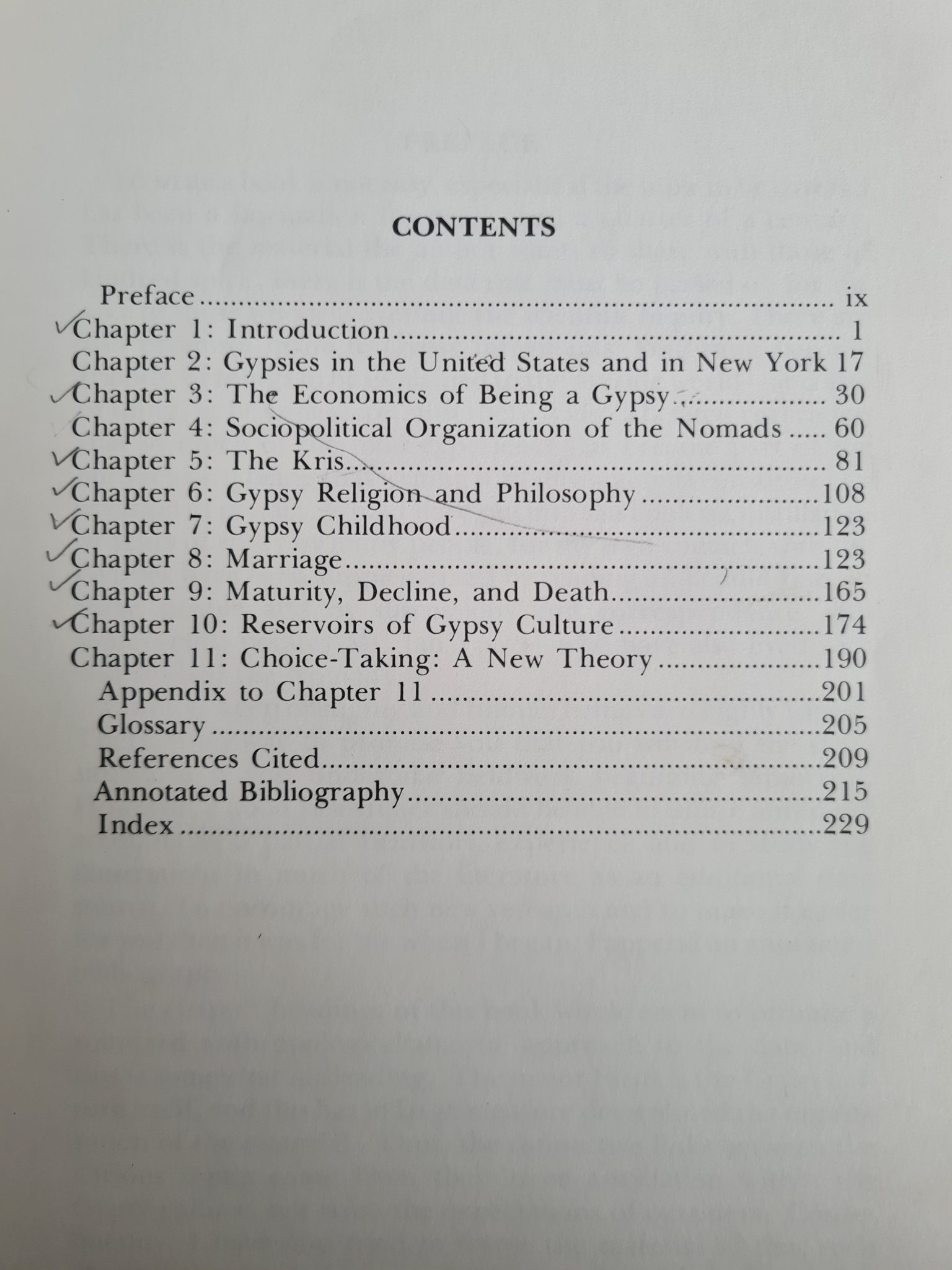 gypsies-in-the-city-kitap-2