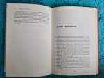 gypsies-in-the-city-kitap-3