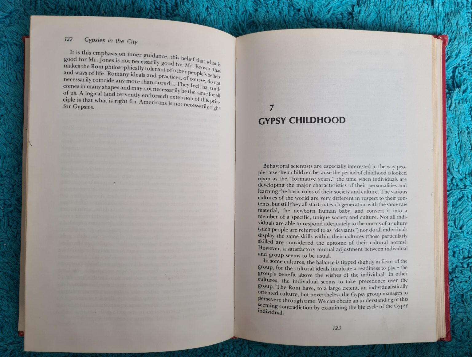 gypsies-in-the-city-kitap-3