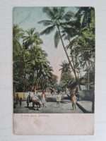 1910-KÜBA-BOMBAY-KARTPOSTAL-2