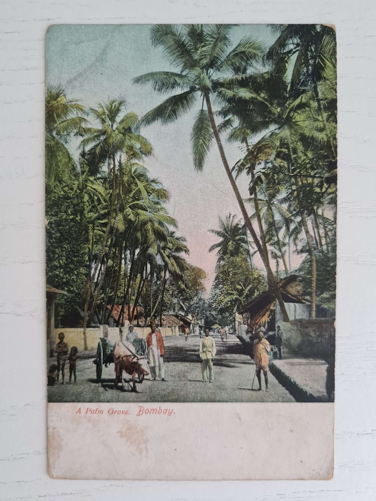 1910-KÜBA-BOMBAY-KARTPOSTAL-2