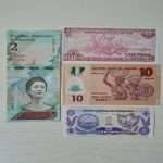 yabancı-para-koleksiyon-banknot-1