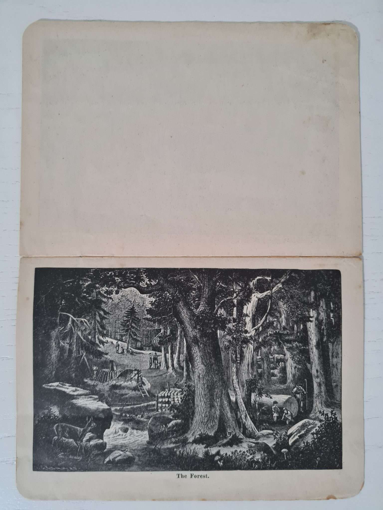 yabancı-gravür-resimler-kitap-2
