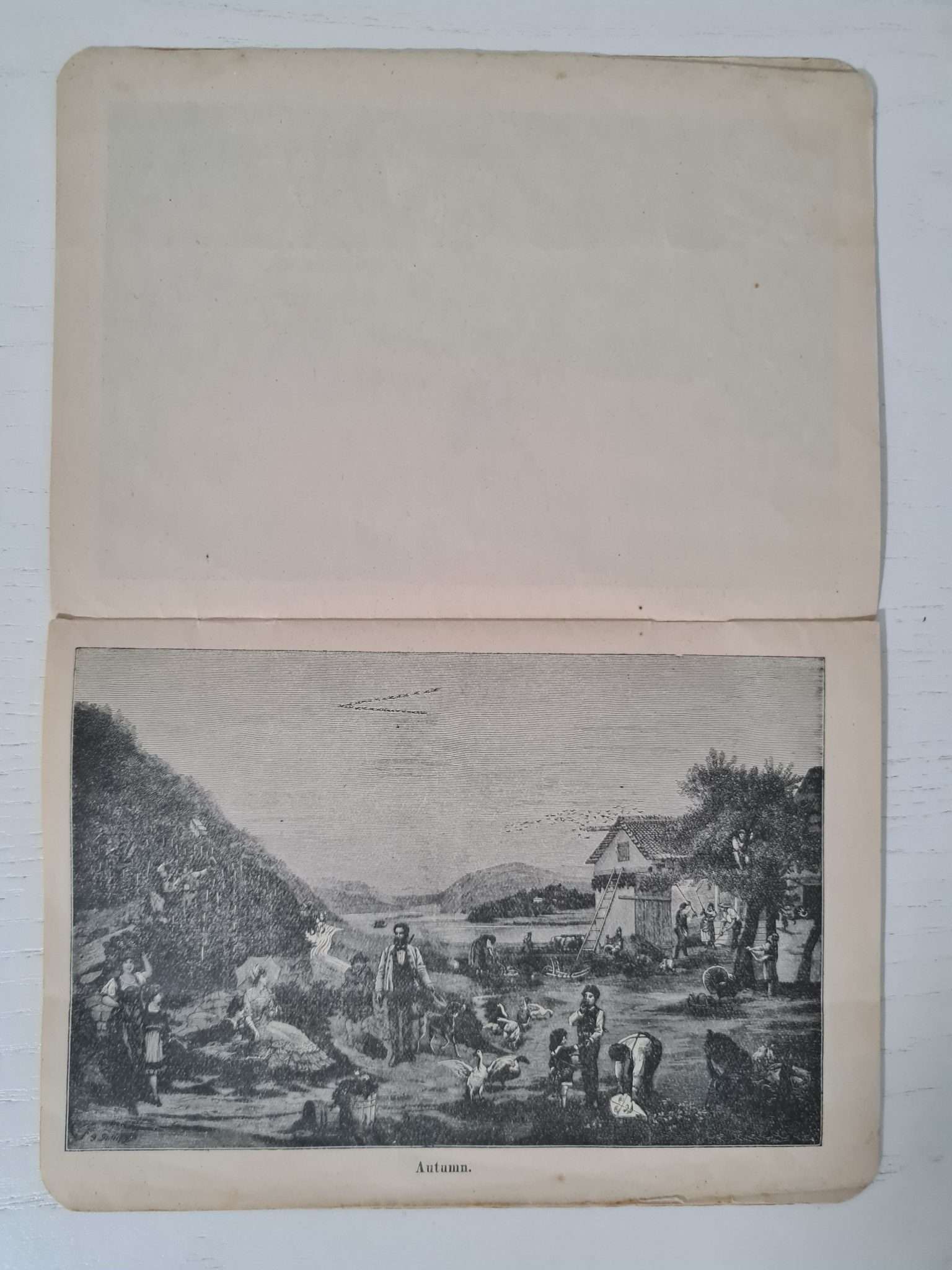 yabancı-gravür-resimler-kitap-4