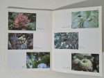 ingilizce-botanik-kitap-2