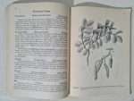 ingilizce-botanik-kitap-3