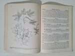 ingilizce-botanik-kitap-4