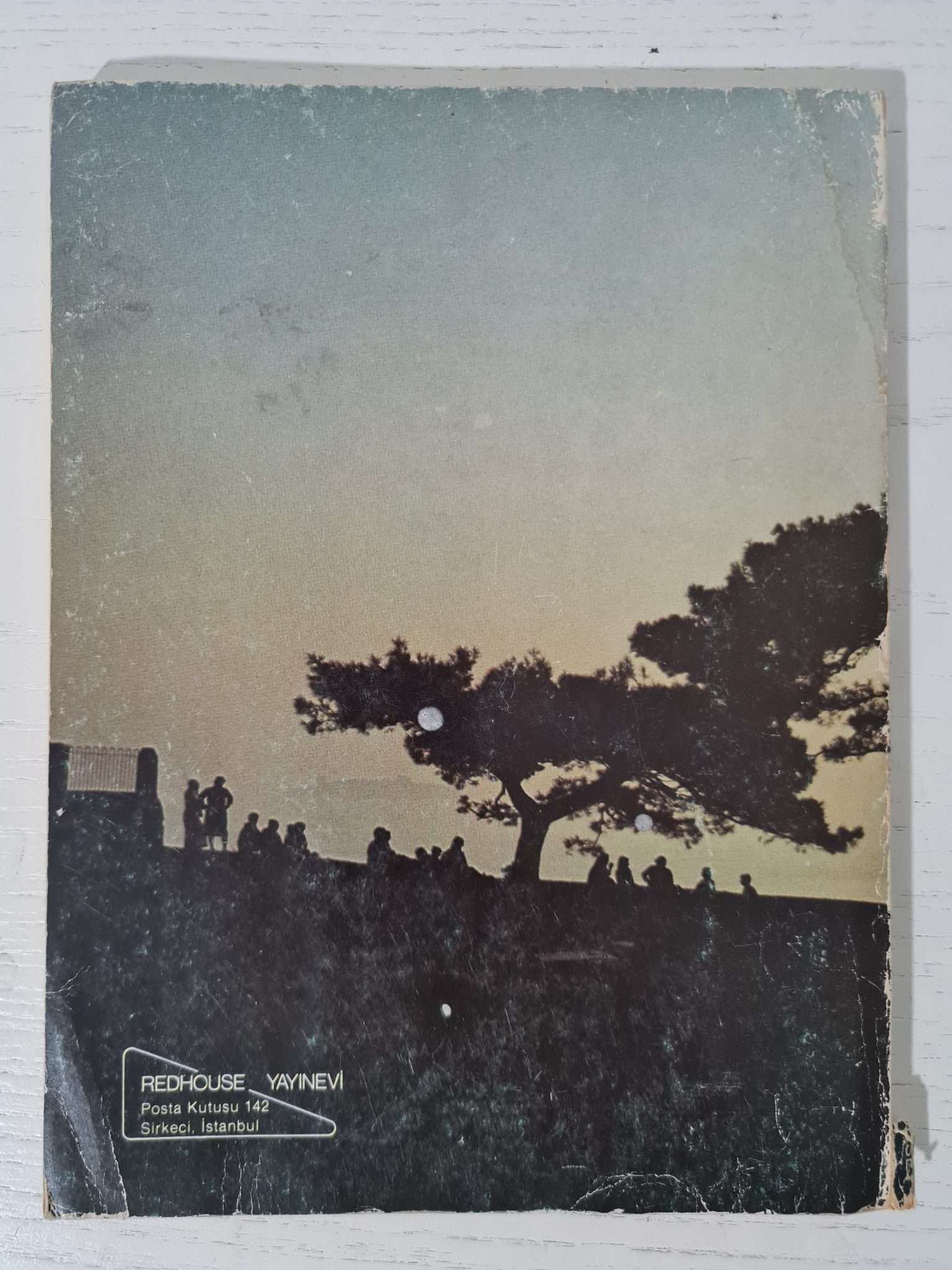 ingilizce-botanik-kitap-5