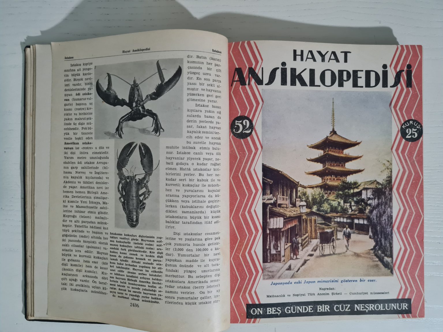 1934-hayat-ansiklopedisi-2