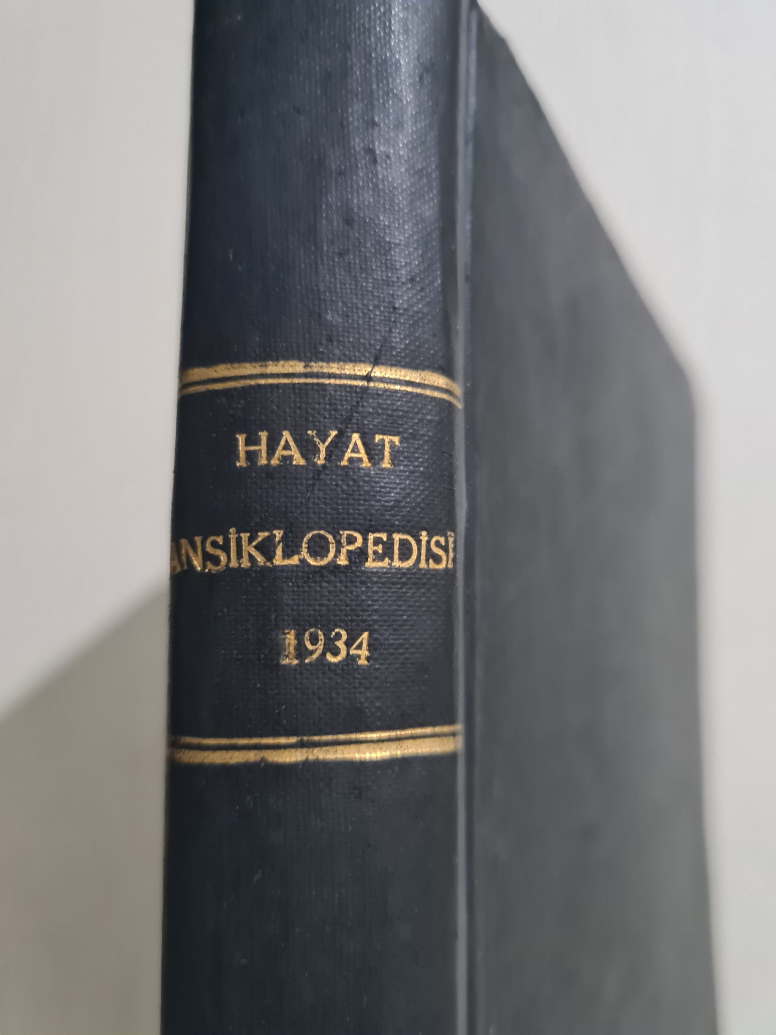 1934-hayat-ansiklopedisi-5