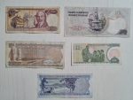 5-yerli-türk-lirası-eski-banknot-2
