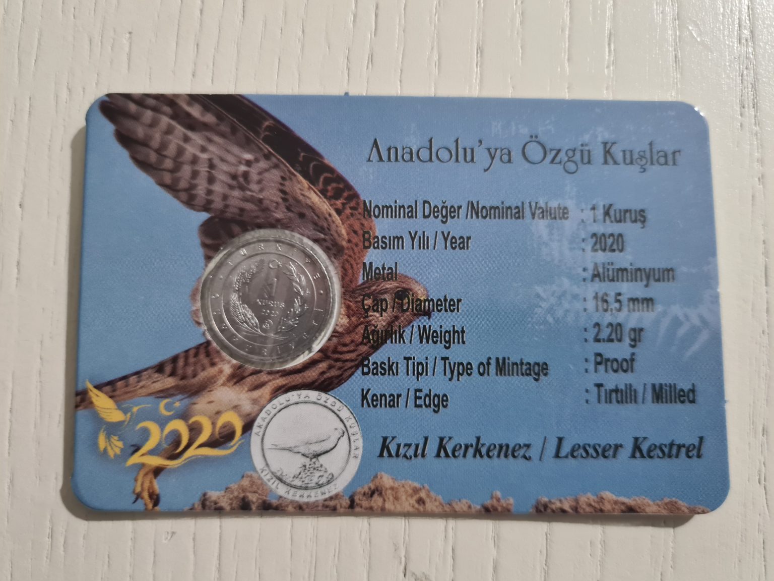 kızıl-kerkenez-anadoluya-ozgur-kuslar-2
