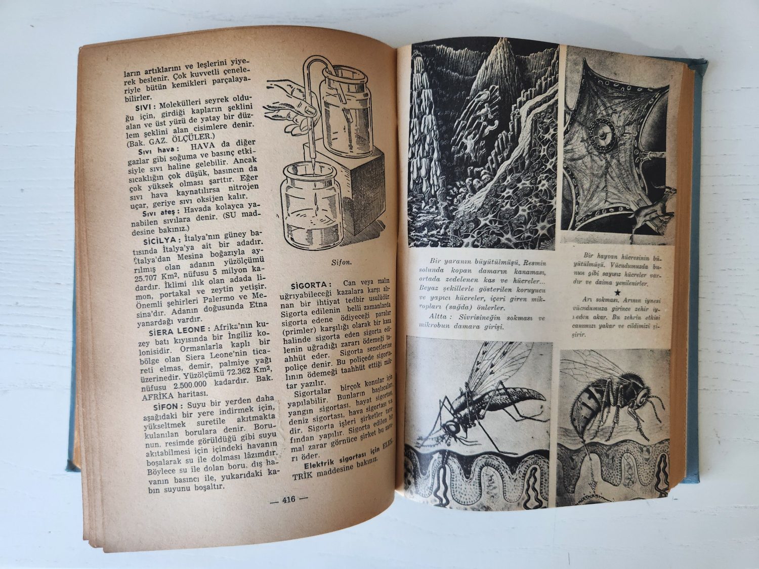 1957 Fen ve Tabiat Ansiklopedisi 550 Sayfa - Görsel 2