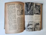 1957 Fen ve Tabiat Ansiklopedisi 550 Sayfa - Görsel 2