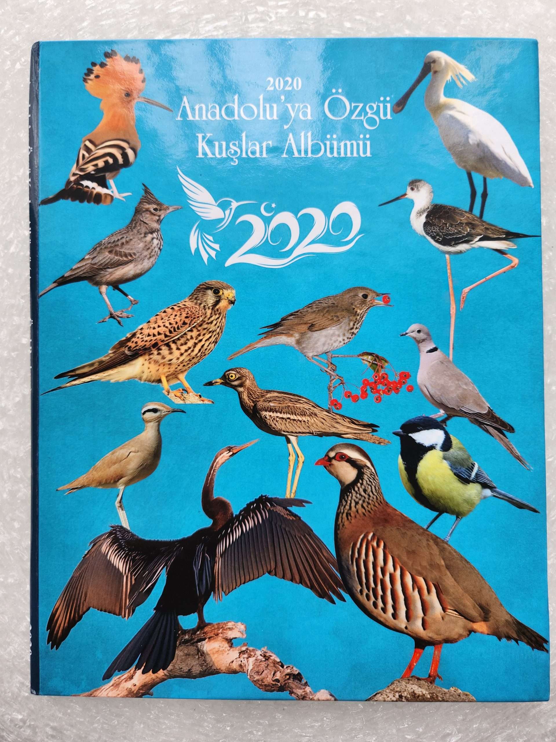 1000046014-scaled.jpg 2020 Anadoluya Özgü Kuşlar Serisi Özel Baskı - Görsel 1