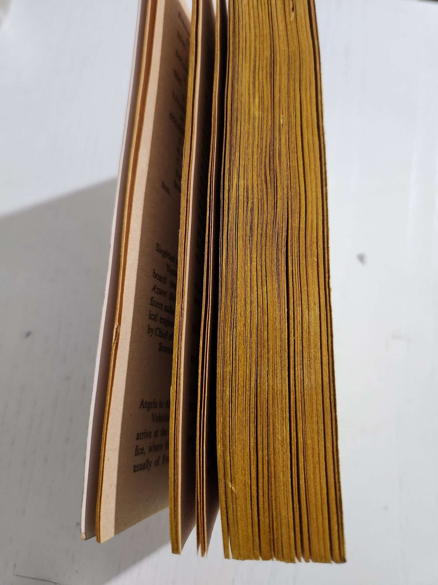 The Himmler Ploy Julian Semenov Kitap - Görsel 2