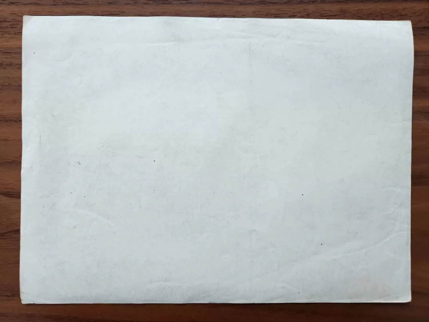 Orijinal 1.Dünya Savașı Askeri Resim 23x17cm - Görsel 2