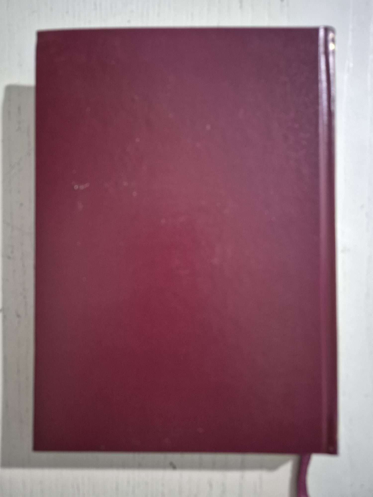 Fatih Sultan Mehmet Ziya Şakir Kitap - Görsel 4